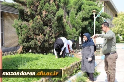 زیبا سازی و بازسازی دوره ای فضای سبز پردیس دکتر شریعتی 7