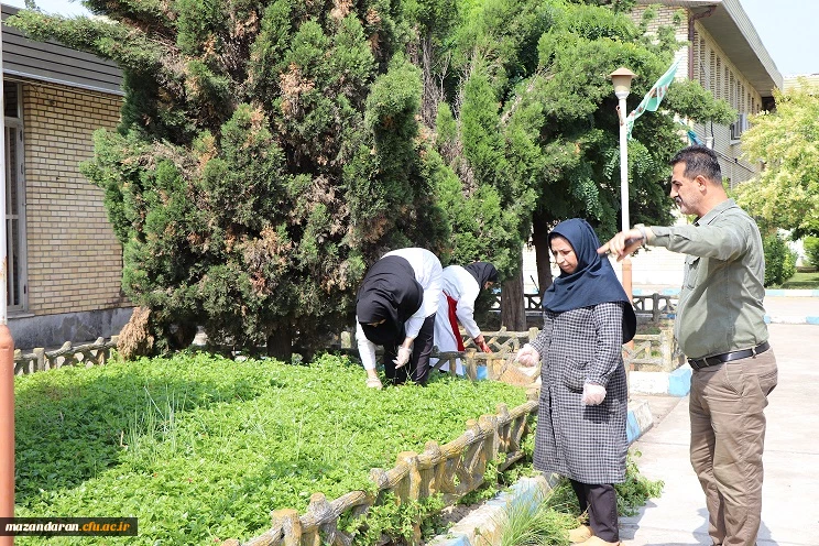 زیبا سازی و بازسازی دوره ای فضای سبز پردیس دکتر شریعتی 7