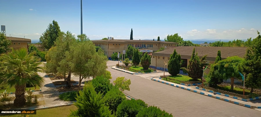 دانشگاه از قاب دوربین