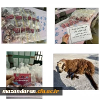 کمک رسانی به افراد مستمند در عید سعید قربان 2