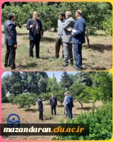 بازدید ازمحل احداث المان و محل تدفین شهید گمنام 2