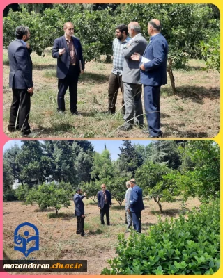 بازدید ازمحل احداث المان و محل تدفین شهید گمنام