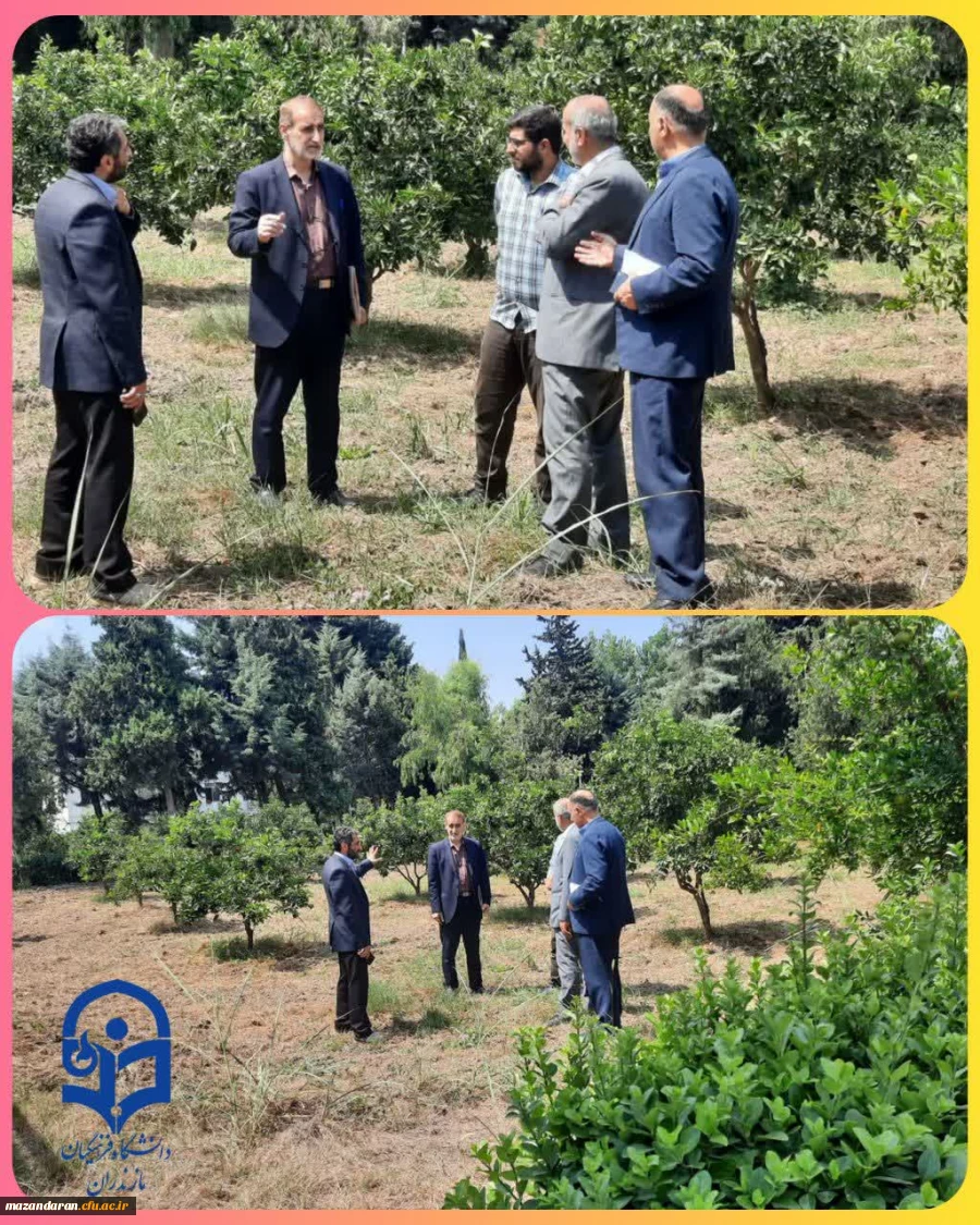 بازدید ازمحل احداث المان و محل تدفین شهید گمنام 2