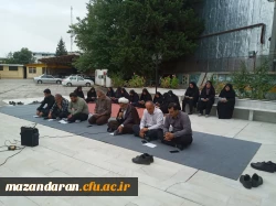 برپایی زیارت عاشورای حسینی در روز اول ماه محرم 3