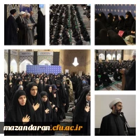 آیین اختتامیه بخش خواهران طرح حامیم استان مازندران در حرم مطهر رضوی 2