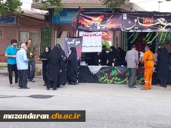 رپایایی موکب جاماندگان اربعین حسینی  2