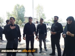 رپایایی موکب جاماندگان اربعین حسینی  6