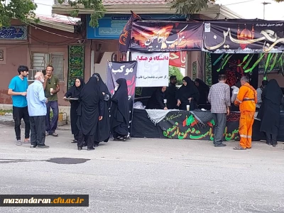 fبرپایی موکب جاماندگان اربعین حسینی 