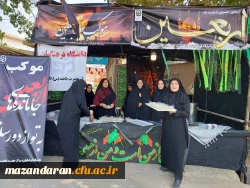 رپایایی موکب جاماندگان اربعین حسینی  3
