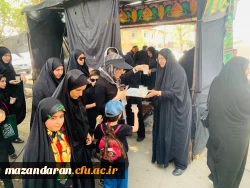 رپایایی موکب جاماندگان اربعین حسینی  5