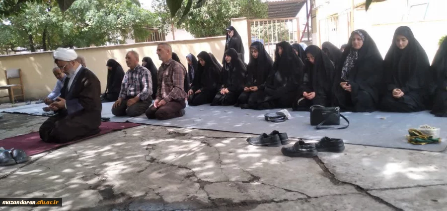 گزارش تصویری از روز دوم مصاحبه دانشجویان ورودی ۱۴۰۲
 9