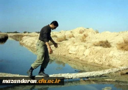 شهدای معلم مازندران ( شهید اسدالله رضایی  ) 3