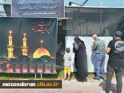 برپایی موکب جاماندگان اربعین حسینی 4