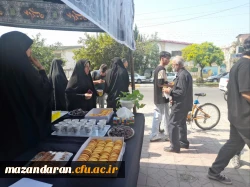 برپایی موکب جاماندگان اربعین حسینی 8