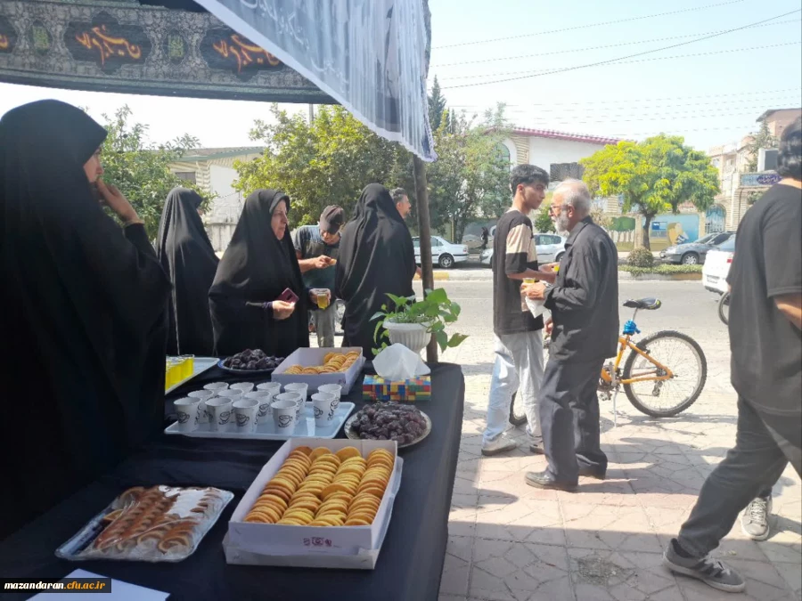 برپایی موکب جاماندگان اربعین حسینی 8