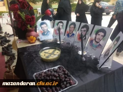 مصاحبه دانشجو معلمان ورودی  1402 14