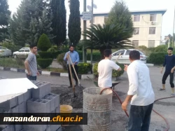 شهید گمنام 8