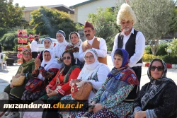 برگزاری سومین جشنواره گرامیداشت هفته مازندران  11