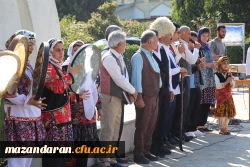 دانشگاه از قاب دوربین