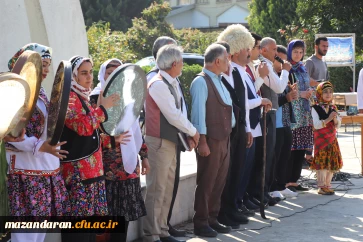 دانشگاه از قاب دوربین