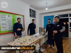 مراسم سوگواری ایام فاطمیه 8