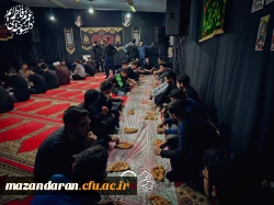 مراسم سوگواری ایام فاطمیه 11