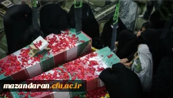 مراسم تشییع و تدفین شهیدان گمنام هشت سال دفاع مقدس 19