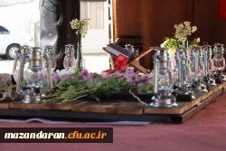 دانشگاه از قاب دوربین