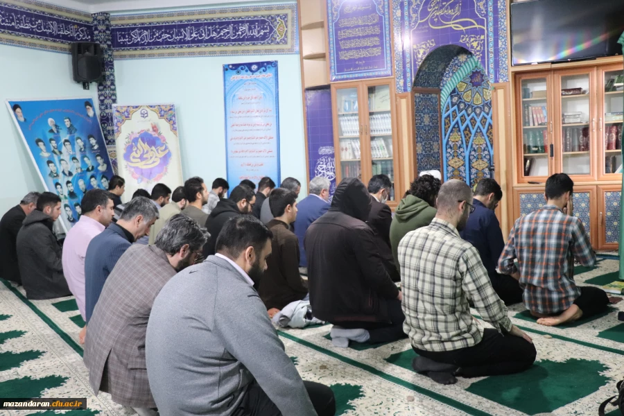 جشن میلاد حضرت علی(ع) 2