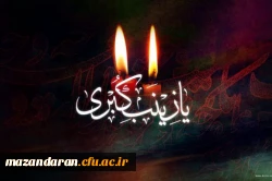 وفات شهادت گونه حضرت زینب سلام الله علیها 3