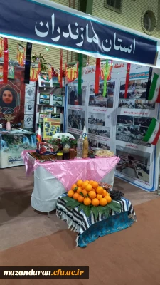 جشنواره حرکت و رویش دزفول 