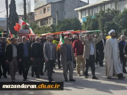 راهپیمایی 22 بهمن ماه 8