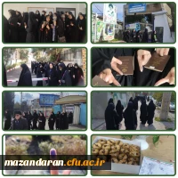 حضور پرشور دانشجویان دانشگاه فرهنگیان مازندران در پای صندوق های رای 4