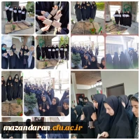 حضور پر شور دانشجو معلمان در  انتخابات  2