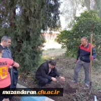 روز درختکاری مبارک باد 2