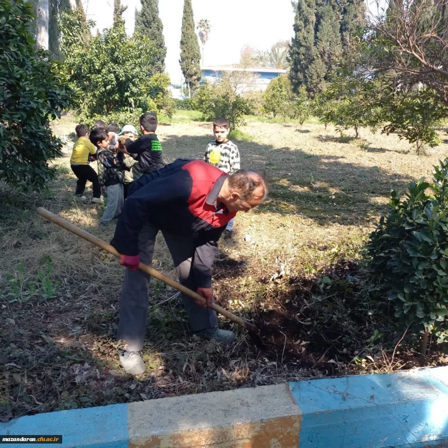 روز درختکاری مبارک باد 5