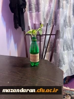 طرح اهداء گل به اتاق های سرا به مناسبت روز درختکاری توسط کانون همیاران سلامت 3