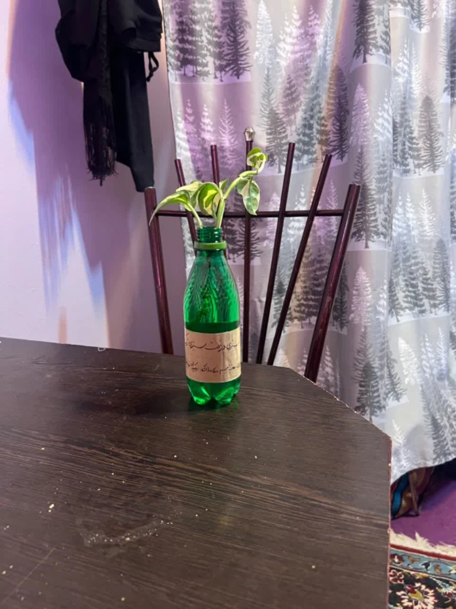 طرح اهداء گل به اتاق های سرا به مناسبت روز درختکاری توسط کانون همیاران سلامت 3