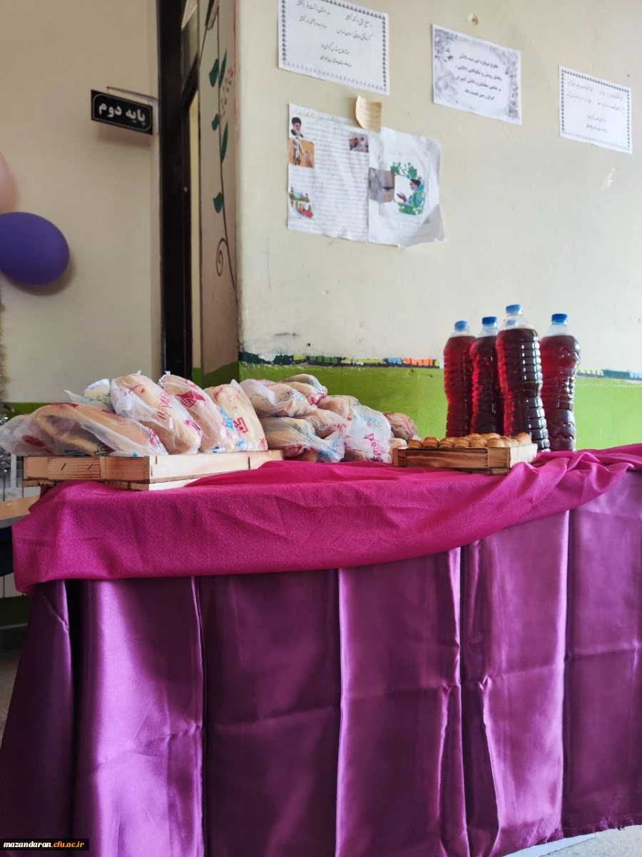 اردوی جهادی دانشجو معلمان بسیجی پردیس خواهران ساری در روستای زرین آباد سفلی  10