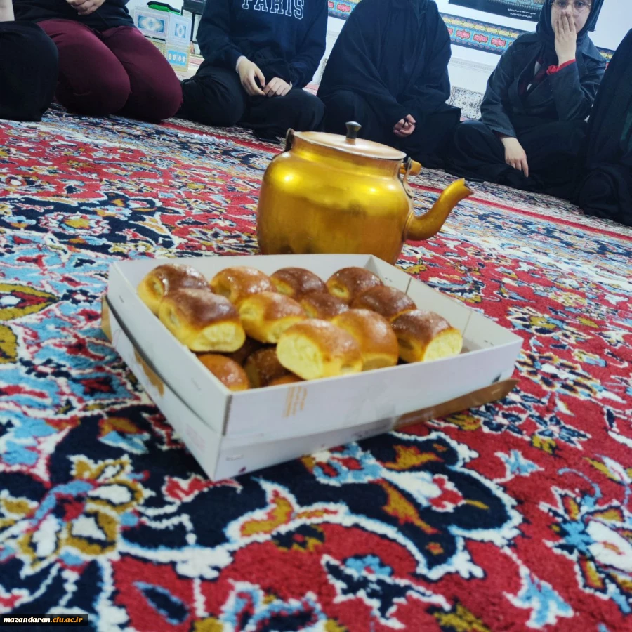 اردوی جهادی دانشجو معلمان بسیجی پردیس خواهران ساری در روستای زرین آباد سفلی  16