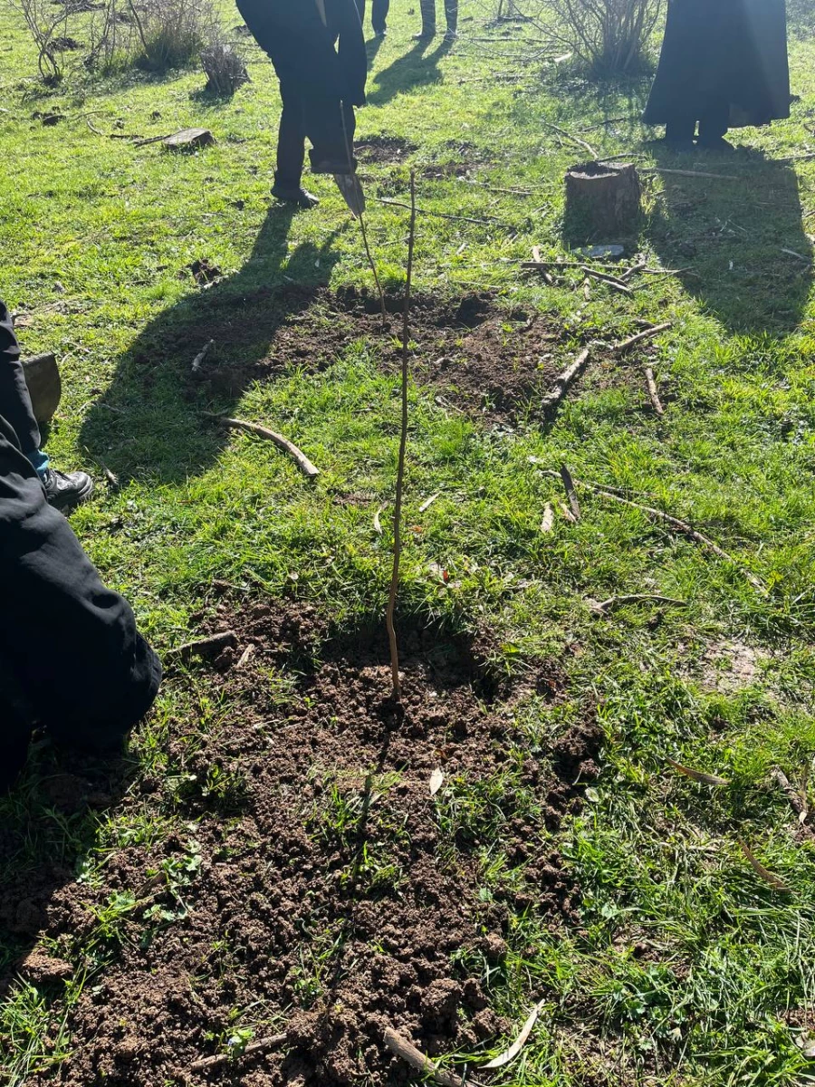 حضور گروه جهادی دانشجو معلمان بسیجی پردیس فاطمه الزهرا س ساری در جنگل های روستای پایین کولا از توابع  شهرستان ساری و کاشت ۲۰۰ اصله  نهال  6