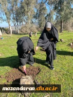 حضور گروه جهادی دانشجو معلمان بسیجی پردیس فاطمه الزهرا س ساری در جنگل های روستای پایین کولا از توابع  شهرستان ساری و کاشت ۲۰۰ اصله  نهال  9
