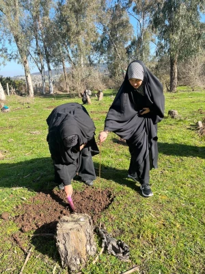 حضور گروه جهادی دانشجو معلمان بسیجی پردیس فاطمه الزهرا س ساری در جنگل های روستای پایین کولا از توابع  شهرستان ساری و کاشت ۲۰۰ اصله  نهال  9