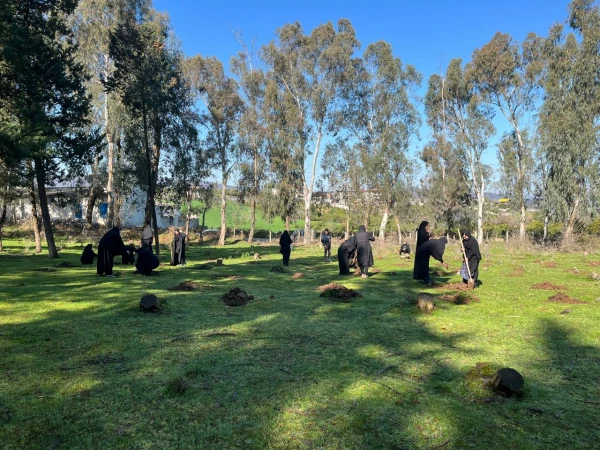 حضور گروه جهادی دانشجو معلمان بسیجی پردیس فاطمه الزهرا س ساری در جنگل های روستای پایین کولا از توابع  شهرستان ساری و کاشت ۲۰۰ اصله  نهال  11