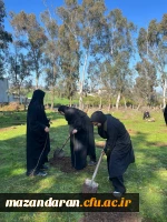 حضور گروه جهادی دانشجو معلمان بسیجی پردیس فاطمه الزهرا س ساری در جنگل های روستای پایین کولا از توابع  شهرستان ساری و کاشت ۲۰۰ اصله  نهال  12