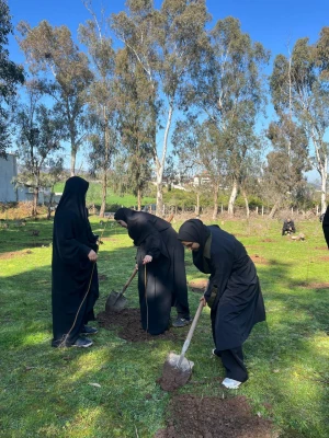 حضور گروه جهادی دانشجو معلمان بسیجی پردیس فاطمه الزهرا س ساری در جنگل های روستای پایین کولا از توابع  شهرستان ساری و کاشت ۲۰۰ اصله  نهال  12