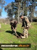 حضور گروه جهادی دانشجو معلمان بسیجی پردیس فاطمه الزهرا س ساری در جنگل های روستای پایین کولا از توابع  شهرستان ساری و کاشت ۲۰۰ اصله  نهال  14