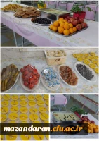 برپایی موکب  و توزیع افطاری نذری توسط گروه جهادی دانشجو معلمان بسیجی پردیس فاطمه الزهرا س ساری  7