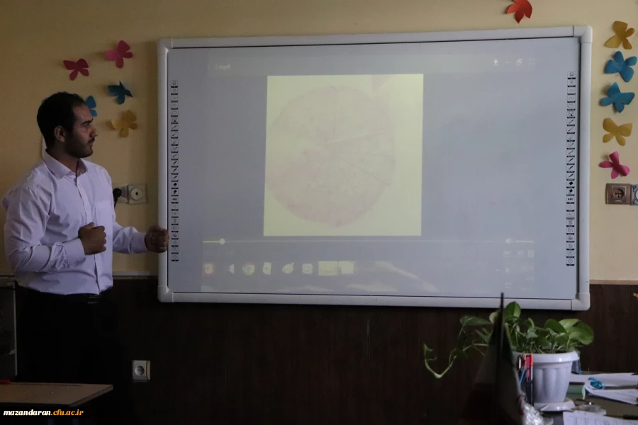 یازدهمین جشنواره تدریس برتر ویژه دانشجو معلمان 9