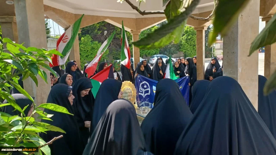 دانشگاه از قاب دوربین